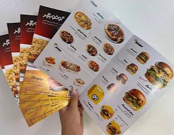 بروشور دولتی